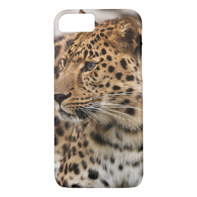 The Leopard Case-Mate iPhone Case (Back)