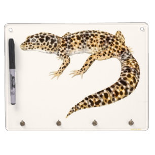 The Leopard Gecko Lizard Dry Erase Board