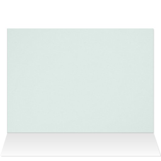 The Leopard Lacewing (Cethosia cyane) Butterfly (Inside Horizontal (Top))