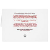 The Leopard Lacewing (Cethosia cyane): Butterfly (Back Horizontal)