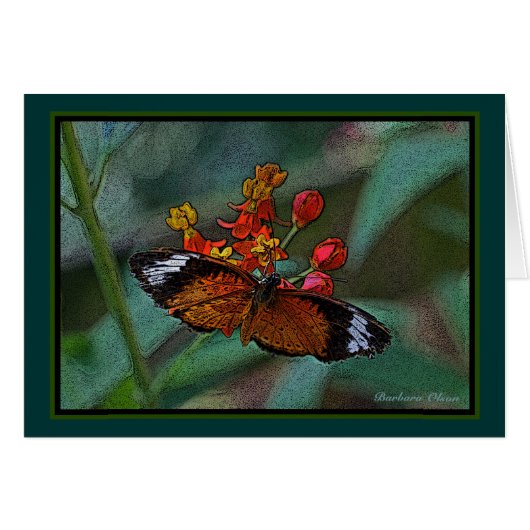 The Leopard Lacewing (Cethosia cyane) Butterfly Cards (Front Horizontal)