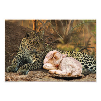 The leopard shall lie down with the kid-Isaiah 11 Photo Print