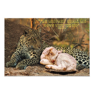 The leopard shall lie down with the kid-Isaiah 11 Photo Print