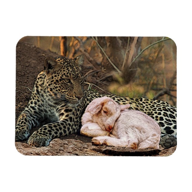 The leopard shall lie down with the lamb-Isaiah 11 Magnet (Horizontal)