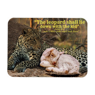 The leopard shall lie down with the lamb-Isaiah 11 Magnet