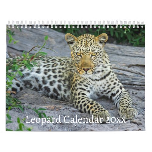 The Leopard Wild Animal Calendar