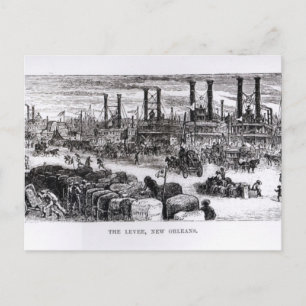 The Levee, New Orleans Postcard
