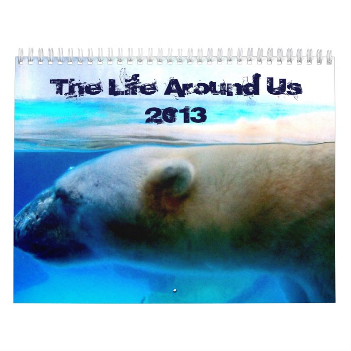 The Life Around Us Calendar 2013