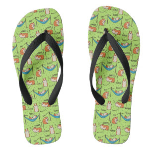 The life cycle of a Guinea Pig Flip Flops