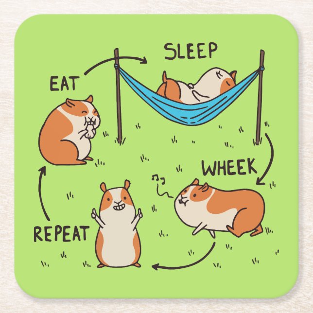 The life cycle of a Guinea Pig Square Paper Coaster (Front)