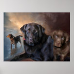 The Life Of A Lab Art Poster/Print Poster