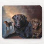 The Life Of A Lab Mousepad