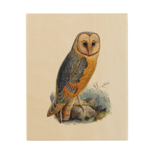 The Life Of Birds ~ The Barn Owl Wood Block Wall Decor