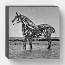 The Lifeboat Horse at Wells Norfolk Wood Box Sign
