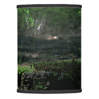 The Light In The Dark Lamp Shade