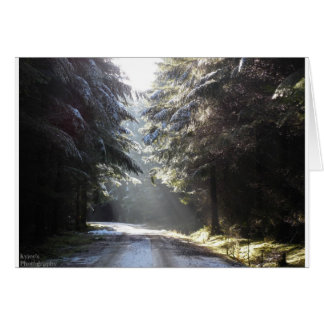 The light in the forest cards