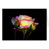 The Light Within (Front Horizontal)