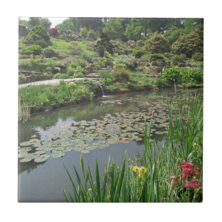 The Lily Pond at RHS Wisley Tile