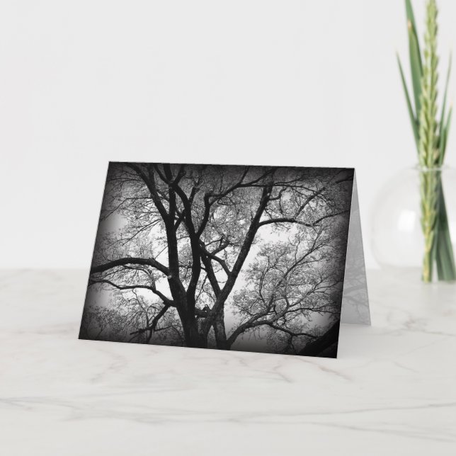 The Limbs of Nature Card (Front)