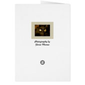 The Lincoln Monument (Back)