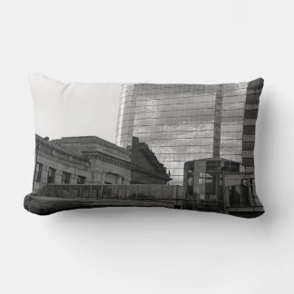 The Link Lumbar Pillow