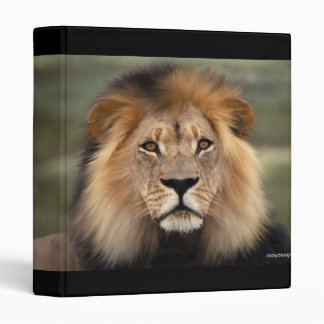 The Lion Binder