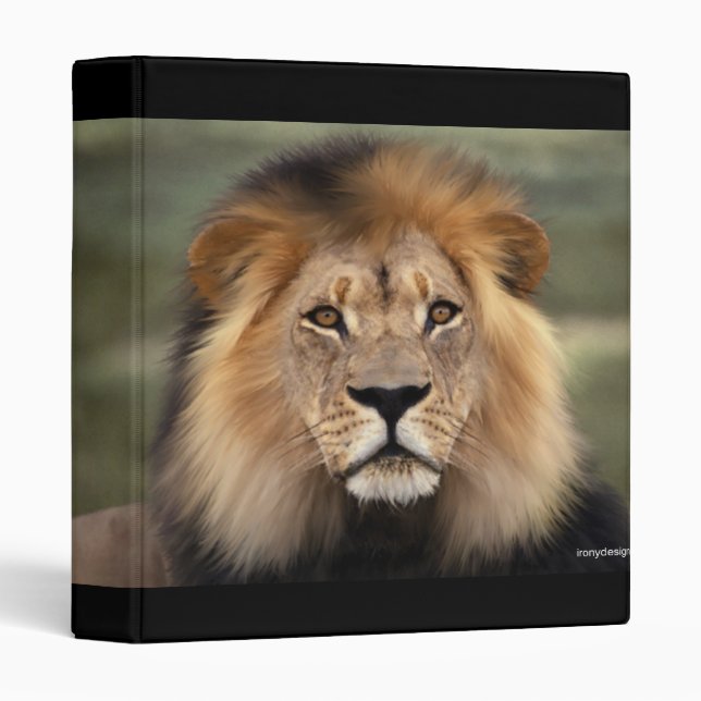 The Lion Binder (Front/Spine)