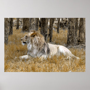 The Lion King Poster