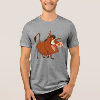 The Lion King's Pumba smiles Disney