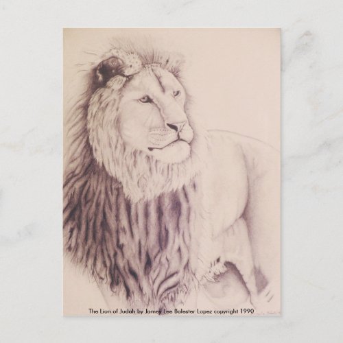 The Lion of Judah _ pencil on paper 1990 Var 3 Postcard