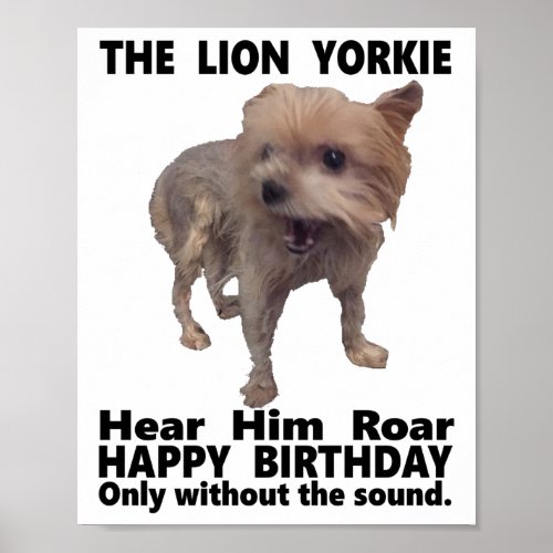 The Lion Yorkie  Hear Him Roar Happy Birthday Poster