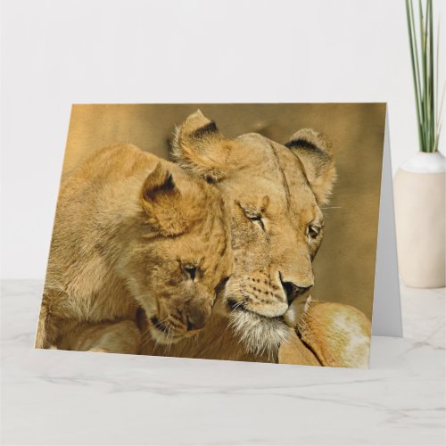 The Lioness and Cub Card