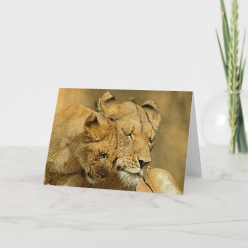 The Lioness and Cub Card