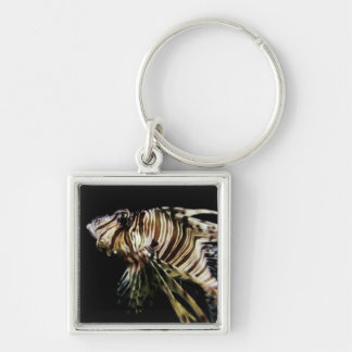 The Lionfish Keychain