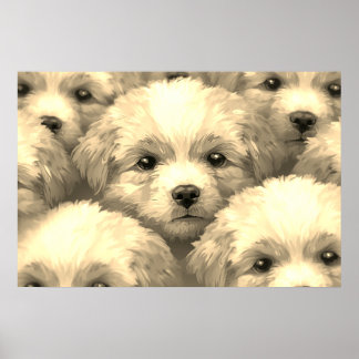 The Litter of Blonde Puppies on a Wall Poster