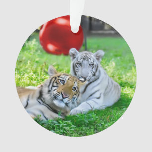 The Little Boys - Ornament