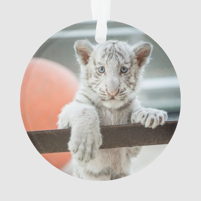 The Little Boys - Ornament (Back)