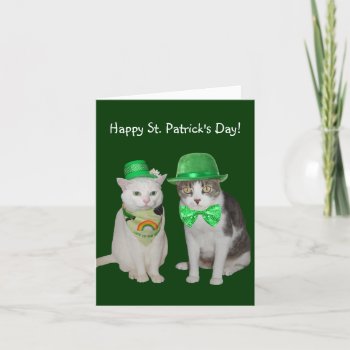 The Little Cats Who Wanted To Be Irish Card by myrtieshuman at Zazzle