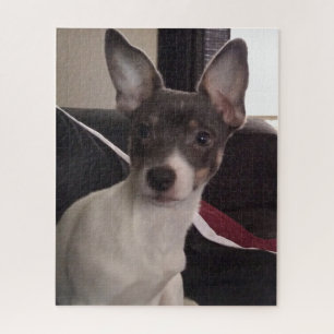 THE LITTLE CHIHUAHUA DOG JIGSAW PUZZLE