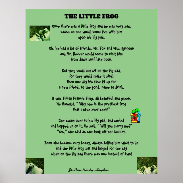 THE LITTLE FROG POSTER (Front)