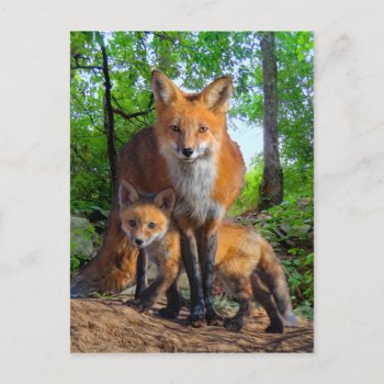 "the Little Mother" Postcard by TabbyHallDesigns at Zazzle