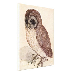 The Little Owl | Albrecht D&#252;rer Canvas Print