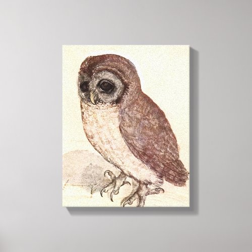 The Little Owl  Albrecht Drer Canvas Print