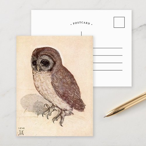 The Little Owl  Albrecht Drer Postcard