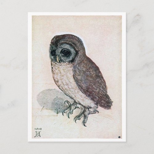 The Little Owl Albrecht Durer Postcard