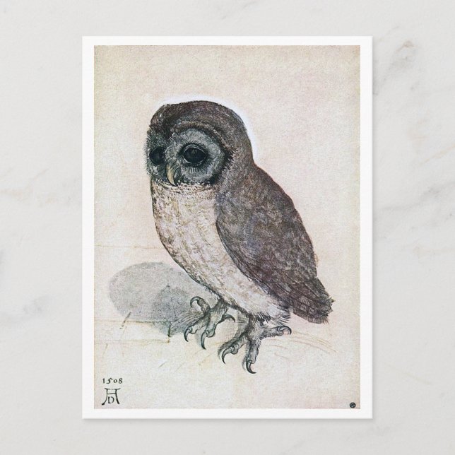The Little Owl, Albrecht Durer Postcard (Front)