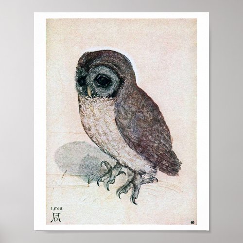 The Little Owl Albrecht Durer Poster