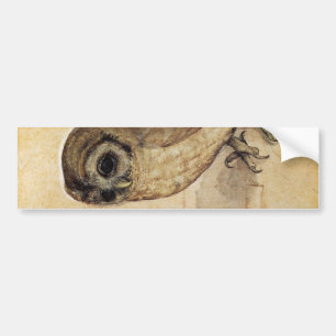 The Little Owl (by Albrecht Durer) Bumper Sticker
