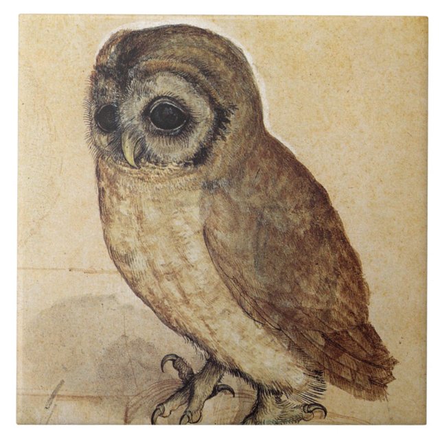 The Little Owl (by Albrecht Durer) Ceramic Tile (Front)