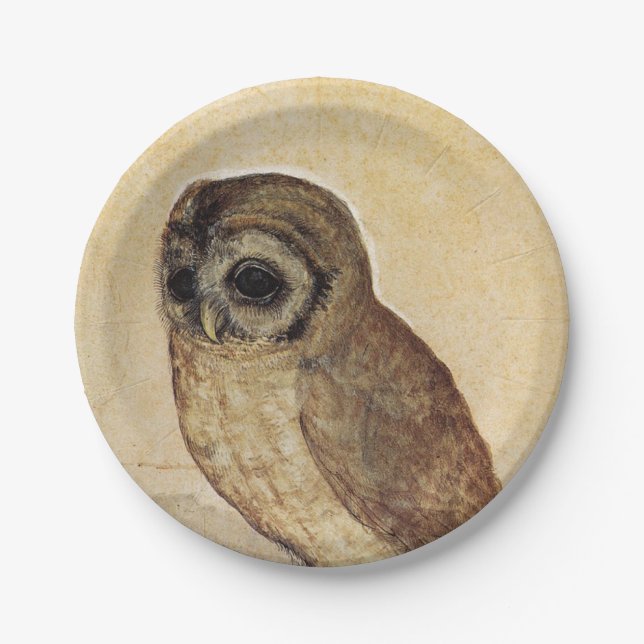 The Little Owl (by Albrecht Durer) Paper Plates (Front)
